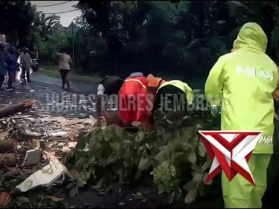 Gerak Cepat Polsek Mendoyo