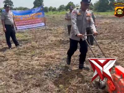 Giat tanam jagung kuartal 1 polsek pemulutan desa tanjung pasir