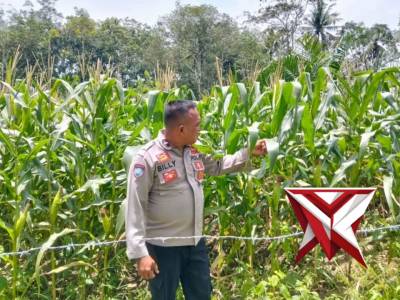 Polsek Mesuji Makmur - PoliceTube