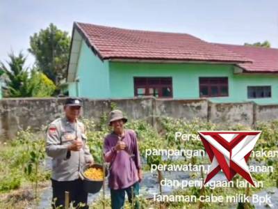 KETAHANAN PANGAN POLSEK PAMPANGAN OKI