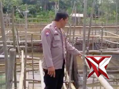 Kanit binmas cek ketahanan pangan milik warga yang bekerambah ikan Patin dan Nila