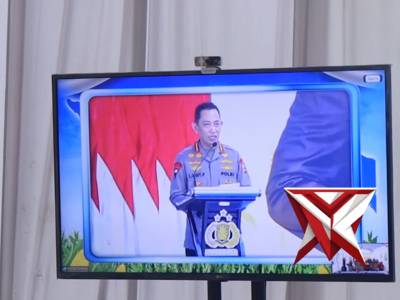 m PENANAMAN JAGUNG SERENTAK