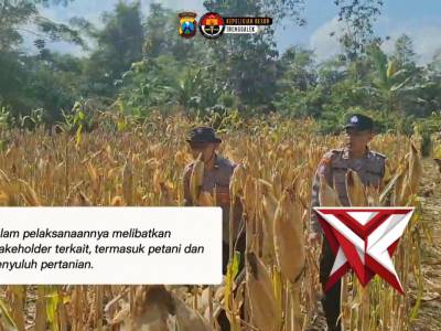 Menuju Swasembada Pangan, Kapolres Trenggalek Hadiri Panen Raya Jagung