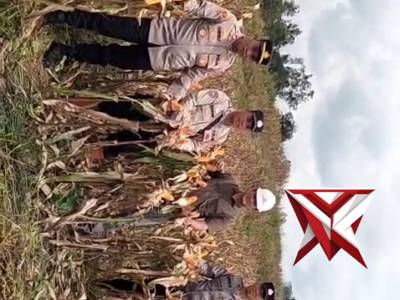 Giat panen jagung kuartal 4