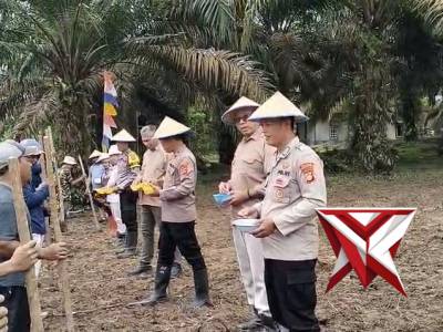 Penanaman Jagung kuartal 1 Tahun 2026  di lahan PT. Lonsum Riam Indah Estate Desa Mandi Angin