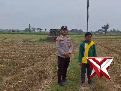 Bhabinkamtibmas polsek belitang II cek ketahanan pangan masyarakat