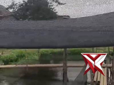 Monitoring Tambak Ikan Program Ketahanan Pangan