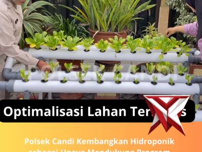 Optimalisasi Lahan Terbatas - PoliceTube