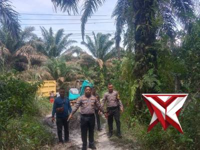 PENGECEKAN PERSIAPAN PANEN JAGUNG PIPIL - PoliceTube