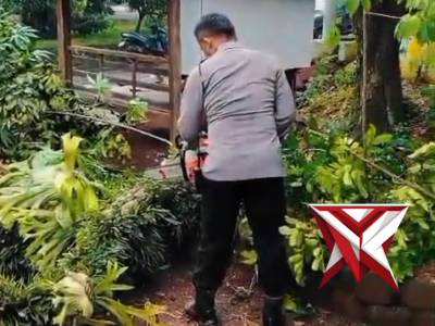 Polsek Panekan bergerak cepat melaksanakan evakuasi pohon tumbang yang menimpa rumah warga