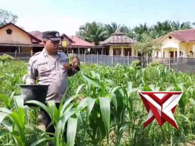 Kegiatan pesonil polsek pampangan