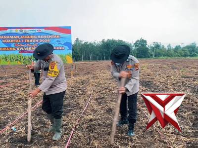 PENANAMAN JAGUNG KUARTAL I TAHUN 2026