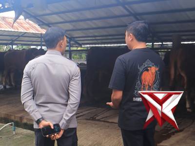 pengecekan hewan ternak guna memastikan kondisi kesehatan hewan