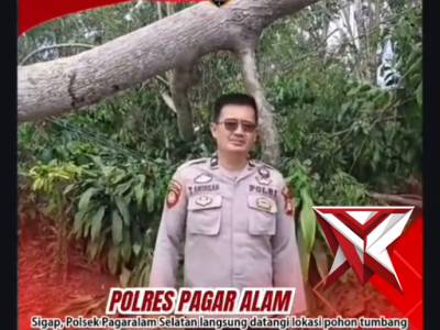 Personil Piket Patroli Polsek Pagaralam Selatan Sigap mengevakuasi pohon tumbang yang mengganggu kel