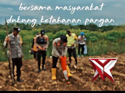 Panen jagung serentak kuartal I Polsek Tugumulyo Polres Musi Rawas