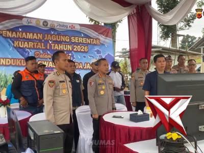PENANAMAN JAGUNG SERENTAK KUARTAL 1 TAHUN 2026 DI KABUPATEN BANDUNG BARAT