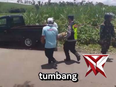 Patroli Polsek Pagak mendatangi TKP Pohon Tumbang dan bantu evakuasi di jalan raya pagak