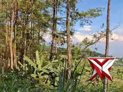 Patroli titik tertinggi