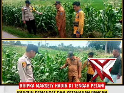 bripka marsely tinjau lahan warga - PoliceTube