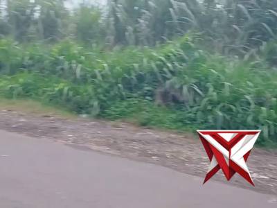 Patorli siang' hari Polsek