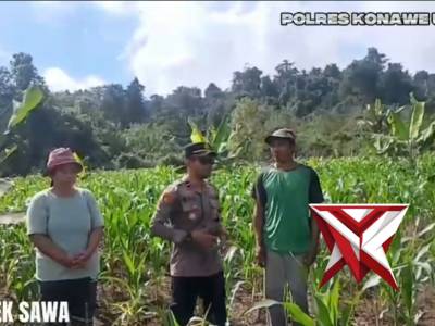 Ketahanan pangan Polsek Sawa