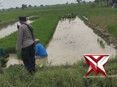 POLSEK BALONGPANGGANG: KETAHANAN PANGAN - PoliceTube