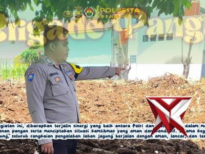 *Polsek Selebar Dukung Swasembada Pangan Melalui Pengolahan Lahan Jagung Bersama Warga*