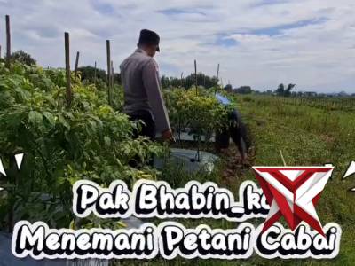 Pak bhabin menemani petani cabai