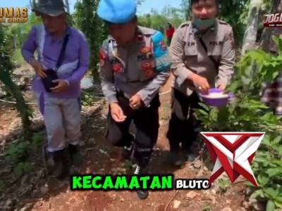 Gerakan Tanam Tumpang Sari