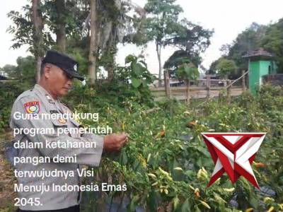 Ketahanan pangan Polsek Pampangan OKI