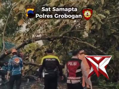 Sat Samapta Polrea Grobogan Melaksanakan Evakuasi Pohon Tumbang
