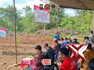 Penanaman Jagung Polsek Lais