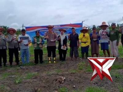 Dukung Swasembada Pangan, Polsek Arut Selatan Lakukan Penanaman Jagung di Desa Kumpai Batu Atas.
