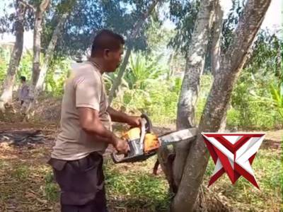 *Kapolresta Bengkulu Ikuti Zoom Meeting &Tanam Jagung Serentak Kuartal I Dukung Swasembada Pangan*