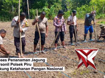 DUKUNG KETAHANAN PANGAN NASIONAL KAPOLSEK PIRU LAKUKAN PENANAMAN JAGUNG