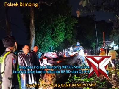 TKP POHON TUMBANG MENIMPA 1 UNIT MOBIL - PoliceTube