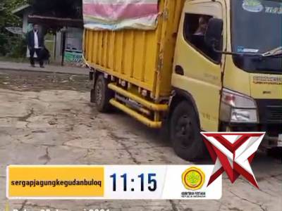 Pengiriman Jagung Ke Bulog