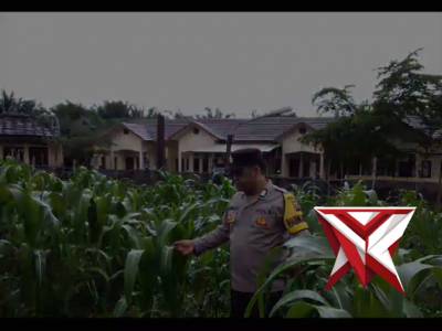 Ketahanan pangan polsek pampangan