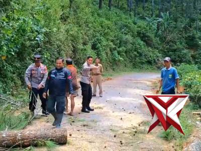 GOTONG ROYONG PEMOTONGAN POHON RAWAN TUMBANG DI KECAMATAN NGRAYUN