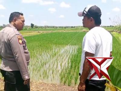 POLSEK BALONGPANGGANG: KETAHANAN PANGAN