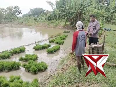 POLSEK BALONGPANGGANG: KETAHANAN PANGAN