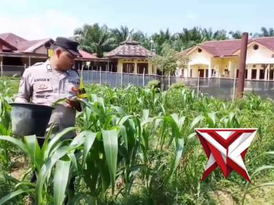Ketahanan pangan Polsek Pampangan