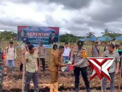 Penanaman Jagung Serentak