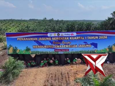 Penanaman Jagung Serentak Kuartal I Tahun 2026