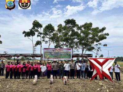 PENANAMAN JAGUNG SERENTAK KUARTAL IV DALAM RANGKA MENDUKUNG SWASEMBADA PANGAN TAHUN 2025