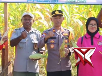 DALAM RANGKA PROGRAM KETAHANAN PANGAN POLSEK SENTANI KOTA POLRES JAYAPURA