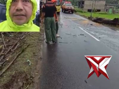 Polsek Mandalawangi Polres Pandeglang bergerak cepat menangani peristiwa pohon tumbang - PoliceTube