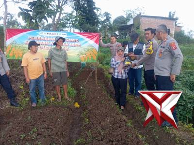 Penanaman Jagung Serentak Polda Jabar Polsek Cilimus - PoliceTube