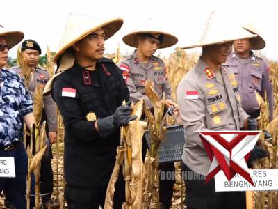 Gerakan tanam serentak