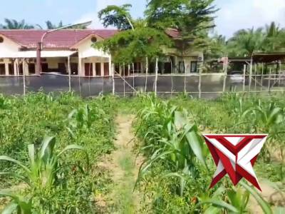 Kegiatan pesonil polsek pampangan